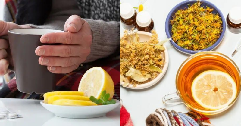 l'alimentation